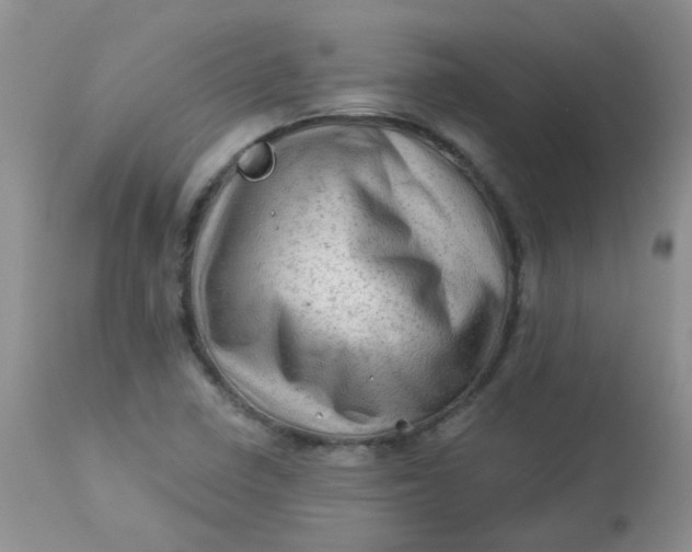 X0000113571410200910091428