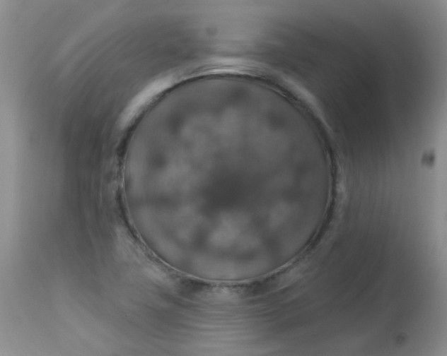 X0000113571411200910091428