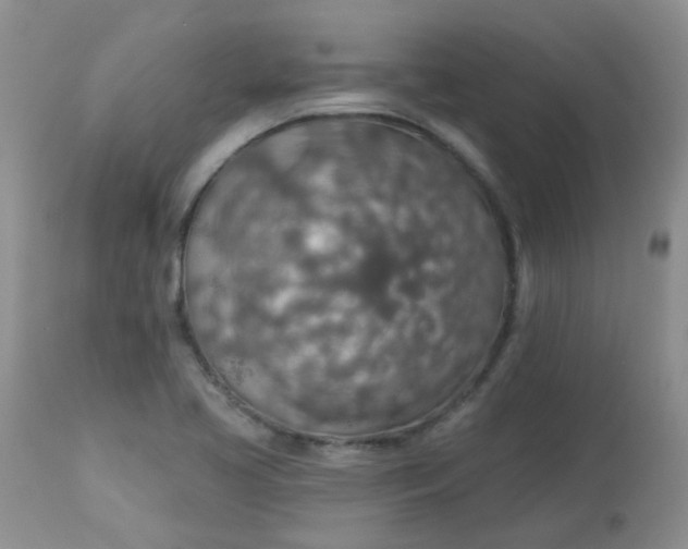 X0000113571413200910091428