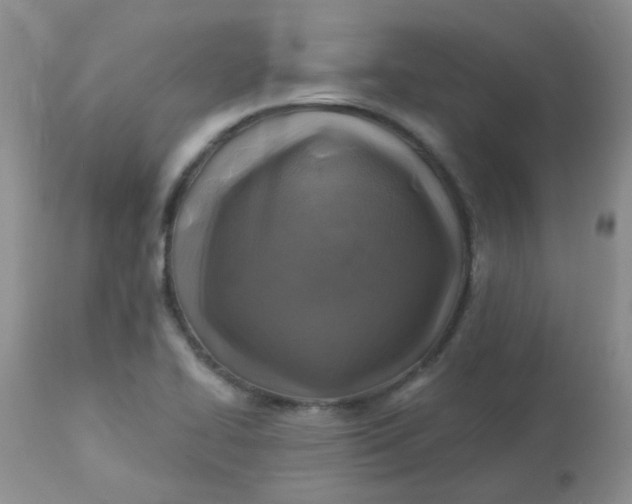 X0000113571414200910091428