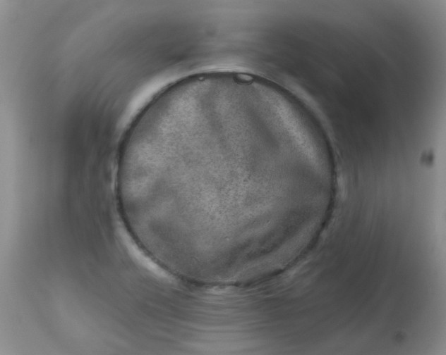 X0000113571416200910091428