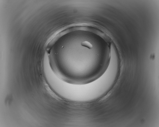 X0000113571417200910091428