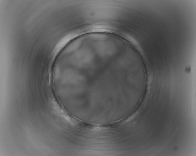 X0000113571419200910091428