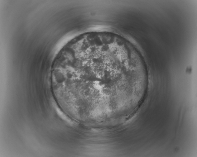 X0000113571421200910091428