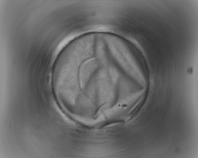 X0000113571424200910091428