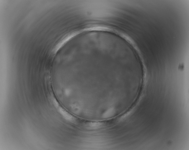 X0000113571425200910091428