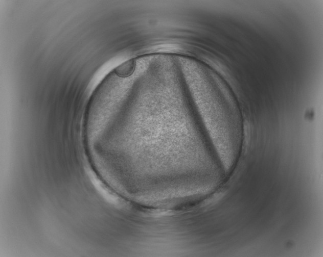 X0000113571426200910091428