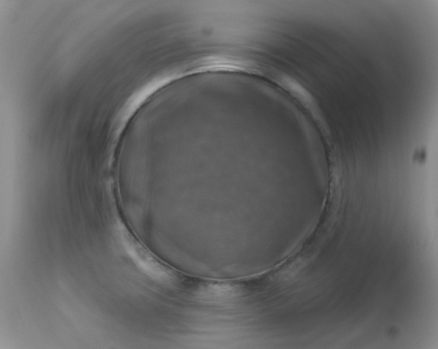 X0000113571427200910091428