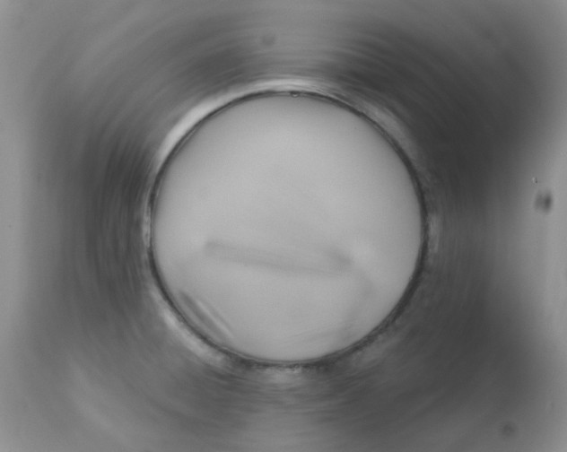 X0000113571428200910091428