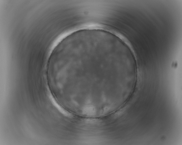 X0000113571429200910091428