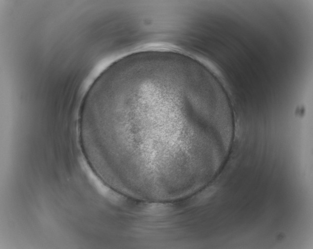 X0000113571430200910091428