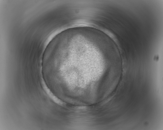 X0000113571431200910091428