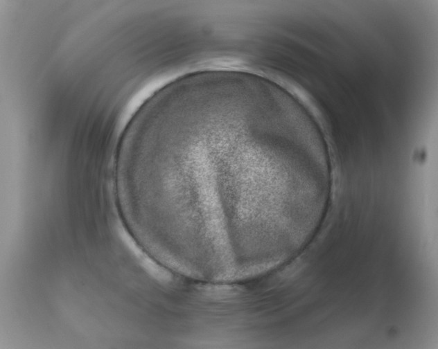 X0000113571432200910091428