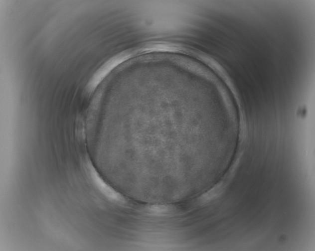 X0000113571433200910091428