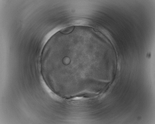 X0000113571434200910091428