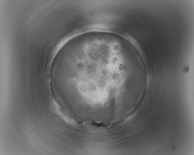 X0000113571435200910091428