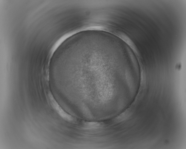 X0000113571436200910091428