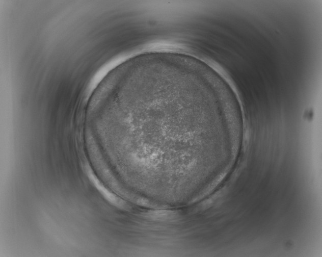 X0000113571437200910091428