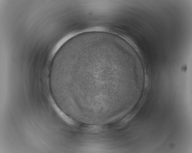 X0000113571438200910091428