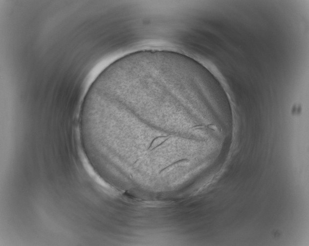 X0000113571440200910091428