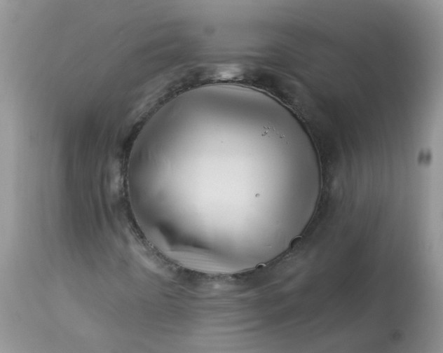 X0000113571442200910091427