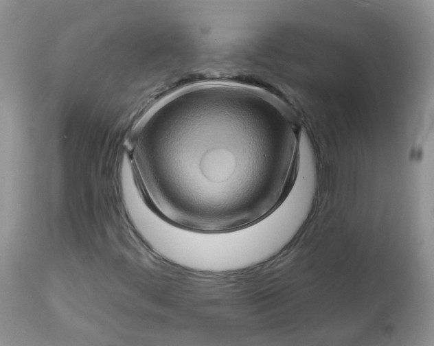 X0000113571444200910091427