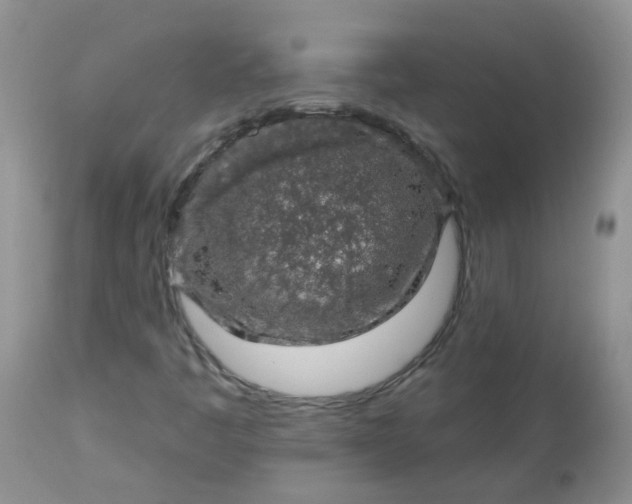 X0000113571445200910091427