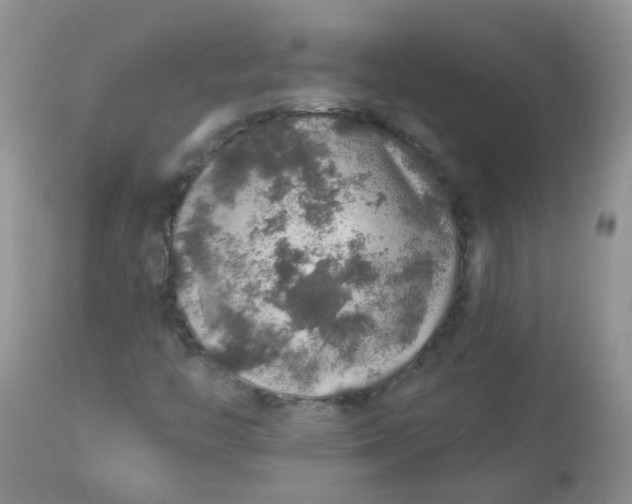 X0000113571446200910091427