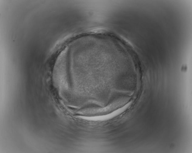 X0000113571447200910091427