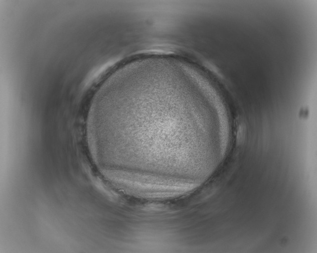 X0000113571448200910091427