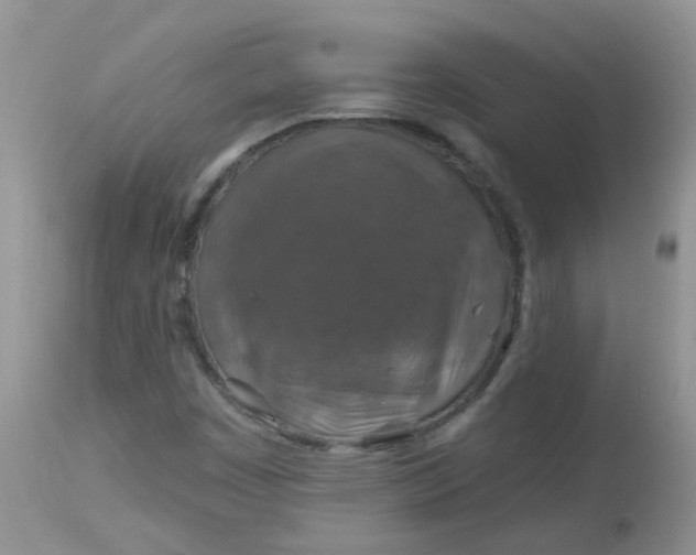 X0000113571449200910091427