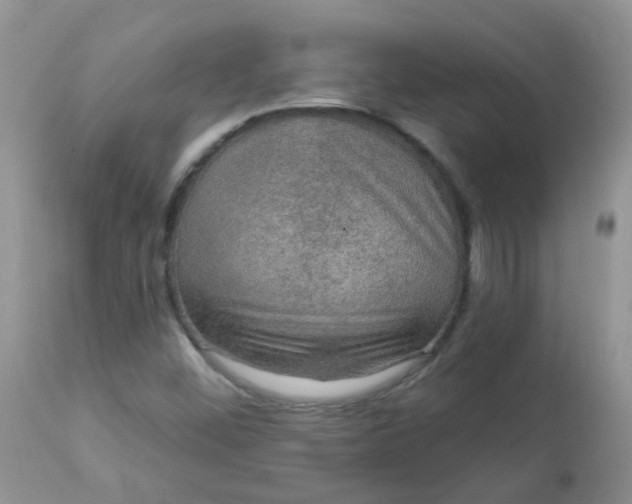 X0000113571452200910091427