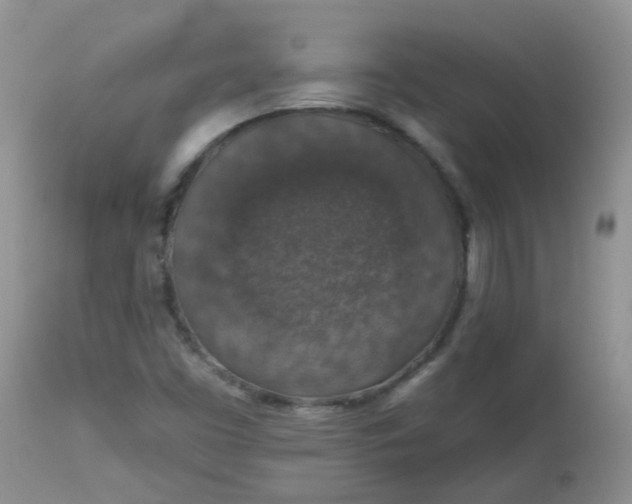 X0000113571453200910091427