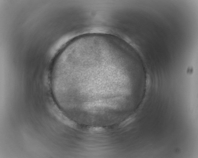 X0000113571454200910091427