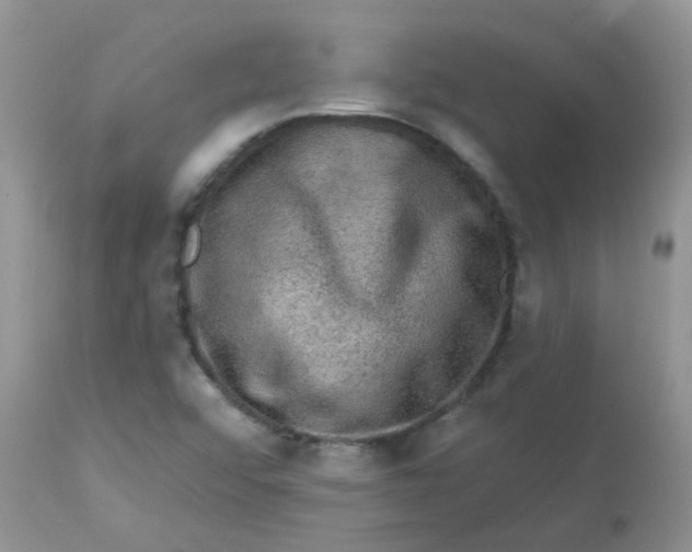 X0000113571456200910091427