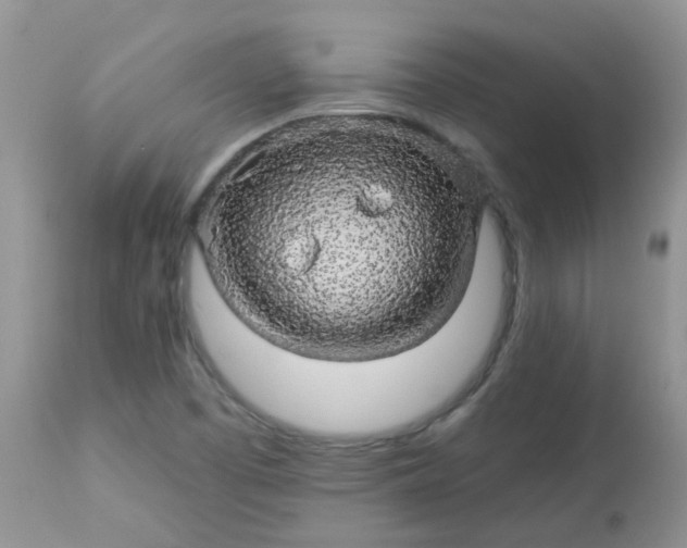 X0000113571457200910091427