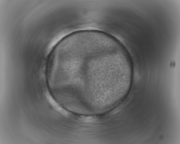 X0000113571460200910091427