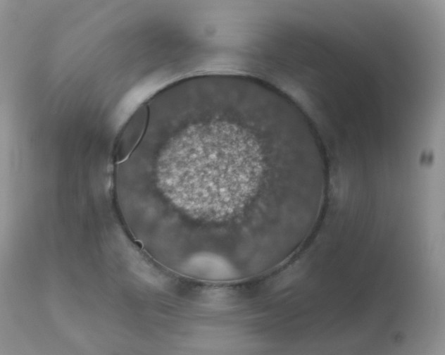 X0000113571461200910091427