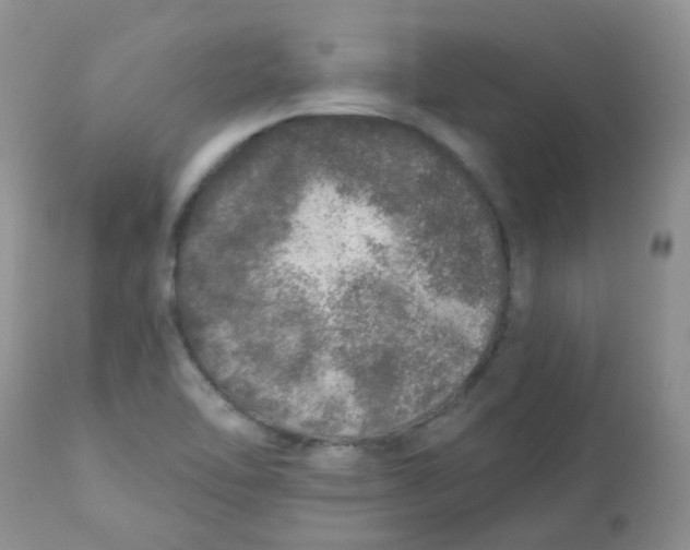 X0000113571462200910091427