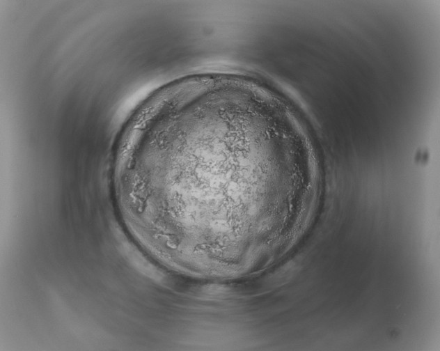 X0000113571463200910091427