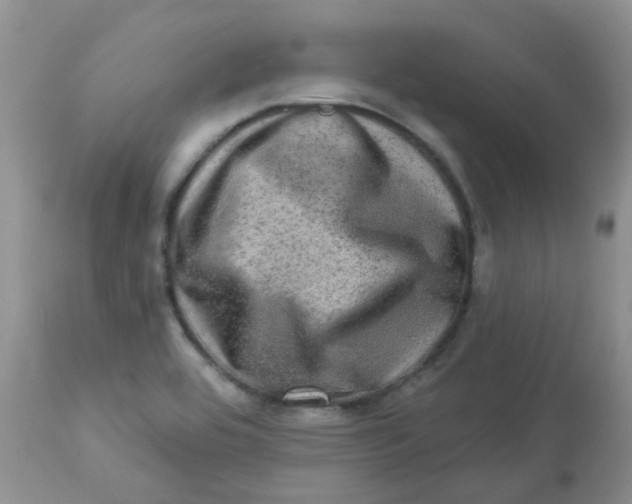 X0000113571464200910091427