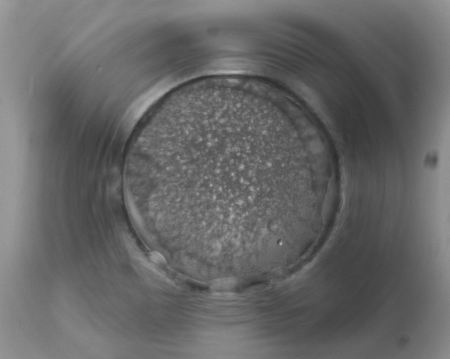 X0000113571465200910091427