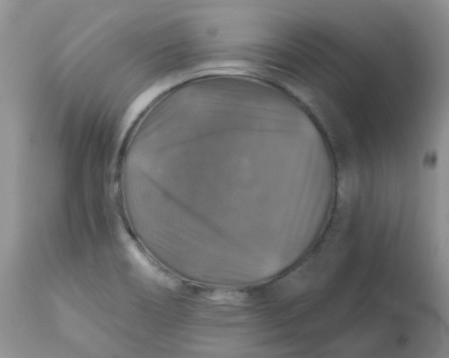 X0000113571466200910091427