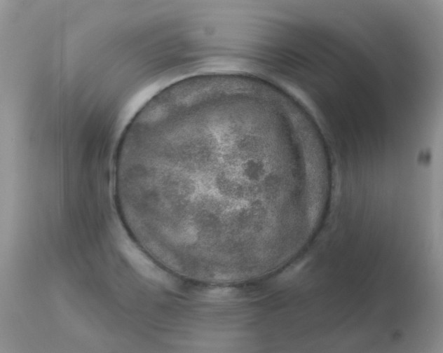 X0000113571467200910091427