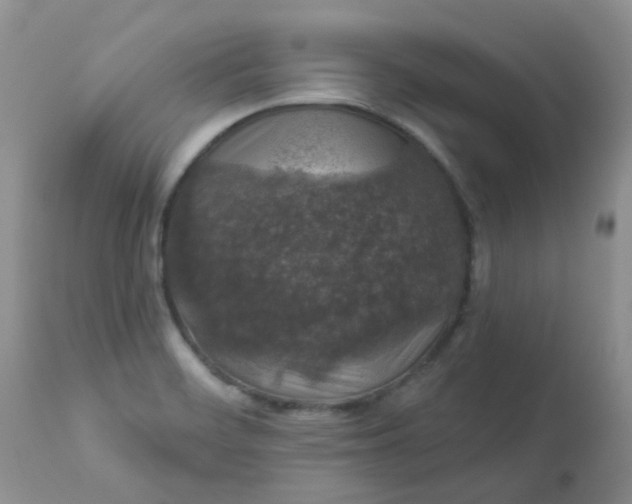 X0000113571468200910091427