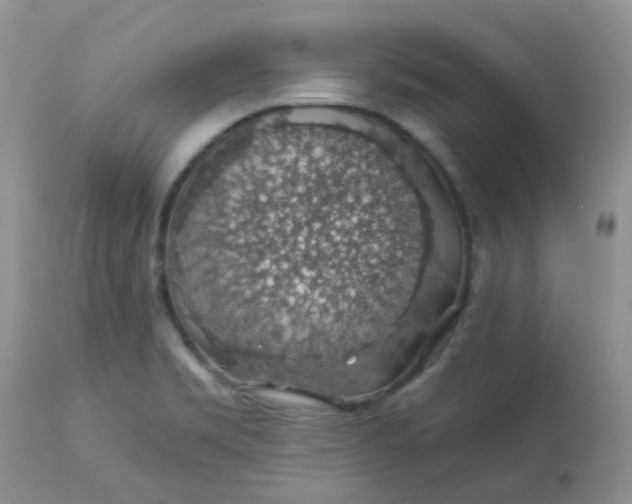 X0000113571469200910091427