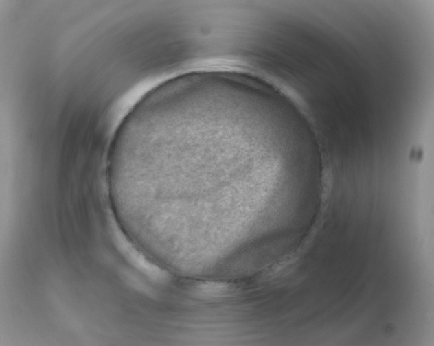 X0000113571470200910091427