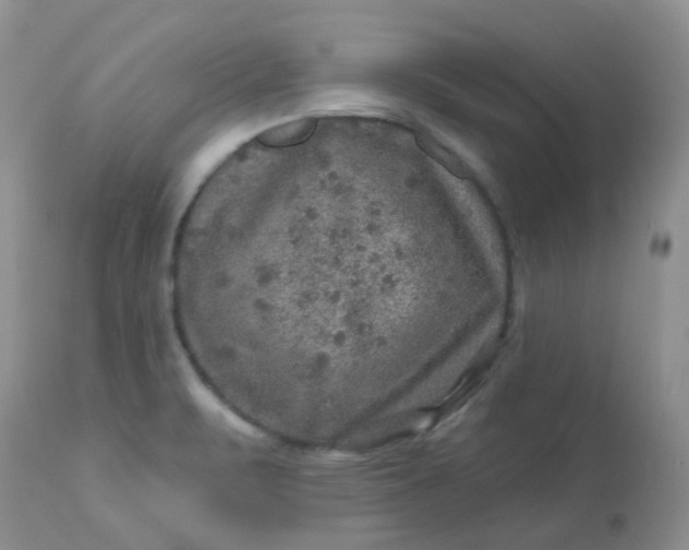 X0000113571471200910091427