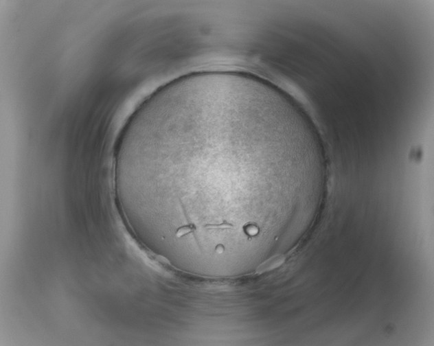 X0000113571472200910091427