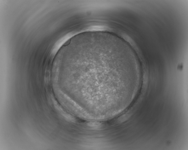 X0000113571473200910091427